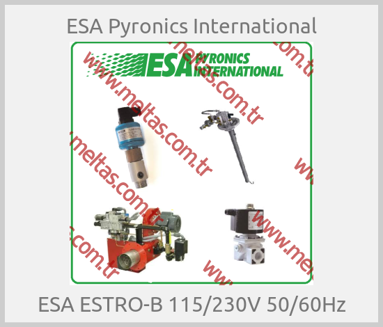 ESA Pyronics International - ESA ESTRO-B 115/230V 50/60Hz