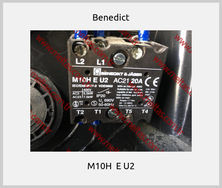 Benedict - M10H  E U2