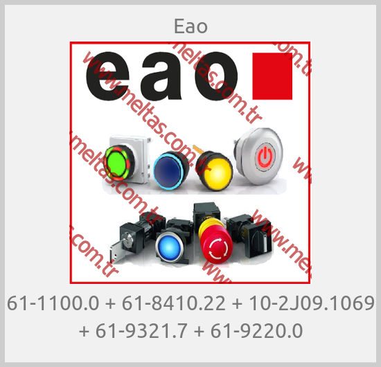 Eao - 61-1100.0 + 61-8410.22 + 10-2J09.1069 + 61-9321.7 + 61-9220.0