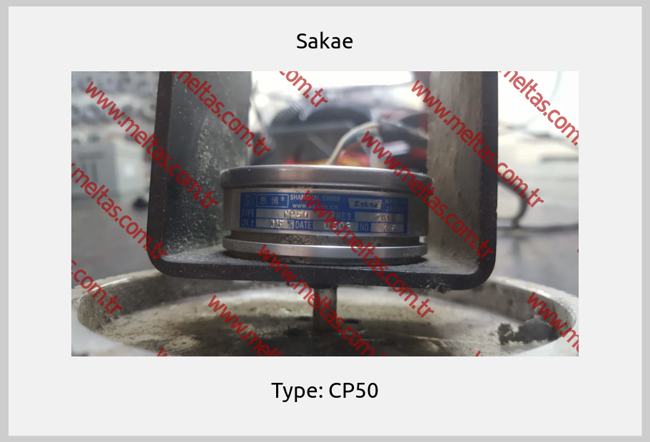 Sakae - Type: CP50