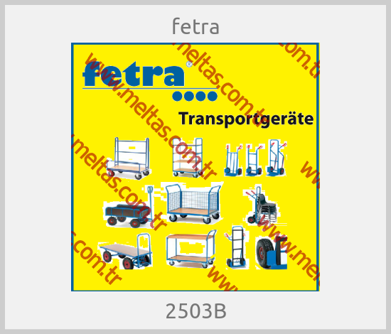 fetra-2503B
