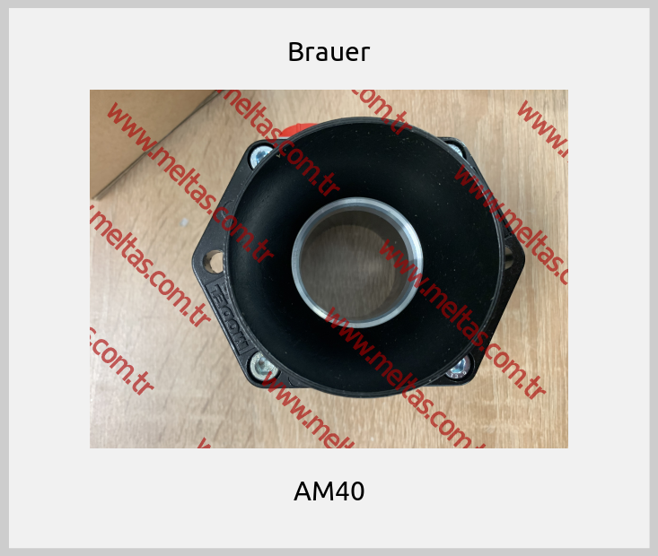 Brauer - AM40