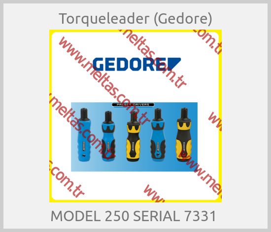 Torqueleader (Gedore) - MODEL 250 SERIAL 7331 