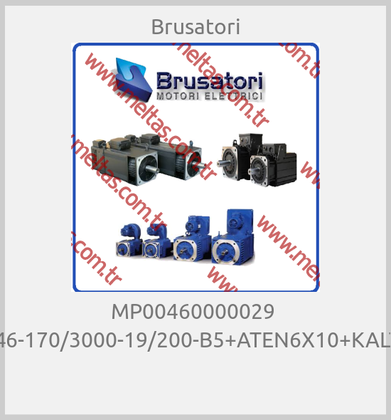 Brusatori - MP00460000029  MP46-170/3000-19/200-B5+ATEN6X10+KALTEN 
