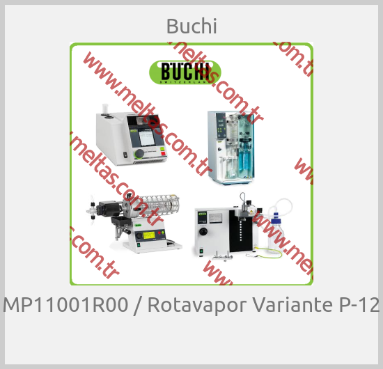 Buchi - MP11001R00 / Rotavapor Variante P-12 