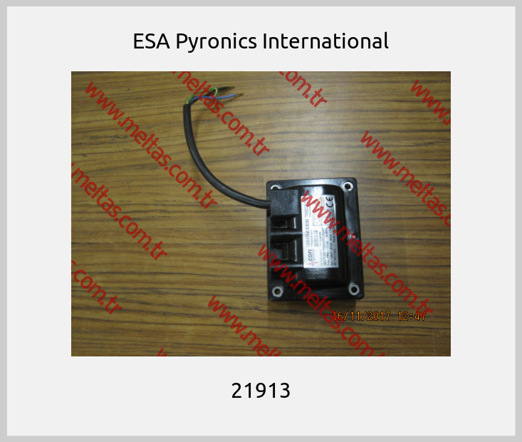 ESA Pyronics International - 21913
