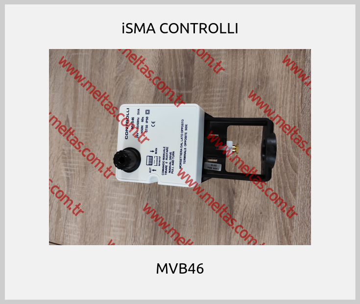 iSMA CONTROLLI - MVB46
