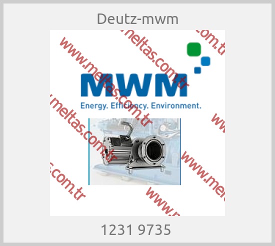 Deutz-mwm - 1231 9735 