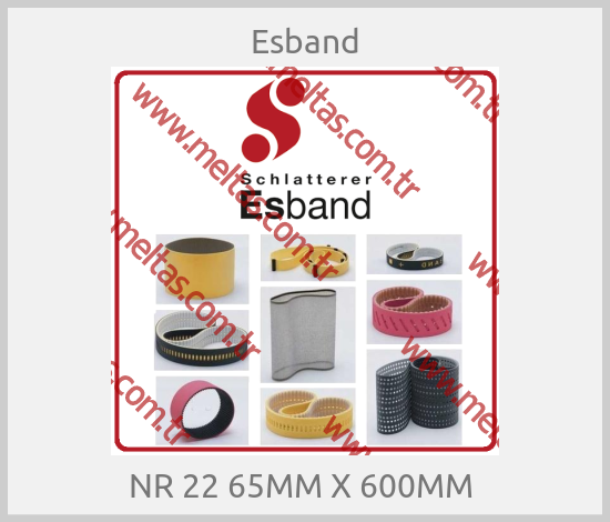 Esband - NR 22 65MM X 600MM 