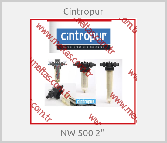 Cintropur - NW 500 2'' 