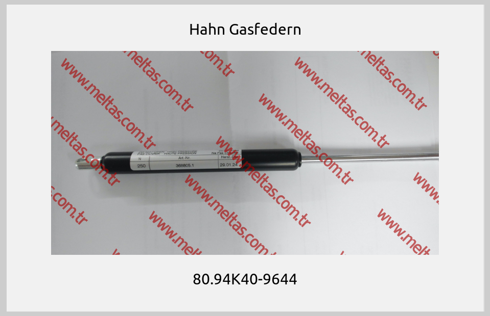 Hahn Gasfedern - 80.94K40-9644