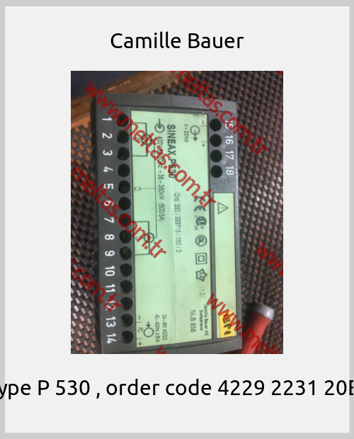 Camille Bauer - Type P 530 , order code 4229 2231 20E  