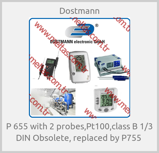 Dostmann-P 655 with 2 probes,Pt100,class B 1/3 DIN Obsolete, replaced by P755 