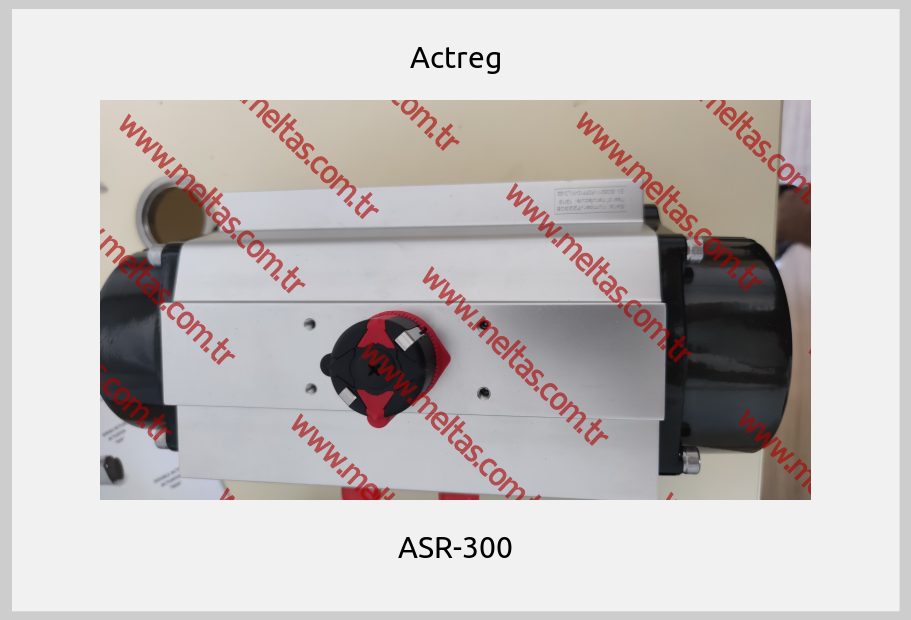 Actreg - ASR-300
