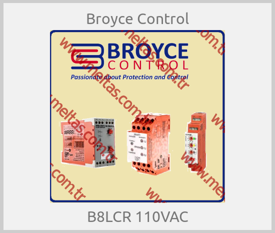 Broyce Control - B8LCR 110VAC