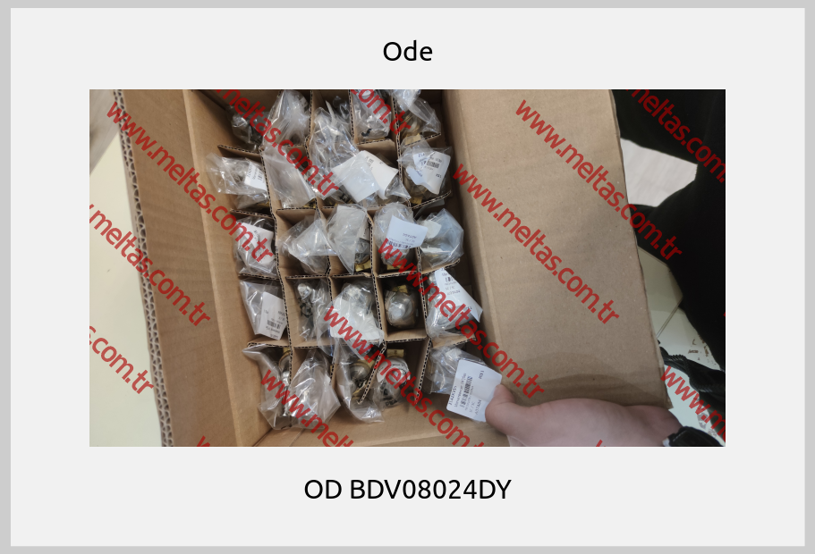 Ode - OD BDV08024DY