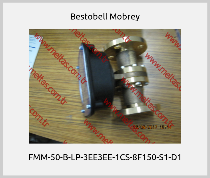 Bestobell Mobrey - FMM-50-B-LP-3EE3EE-1CS-8F150-S1-D1