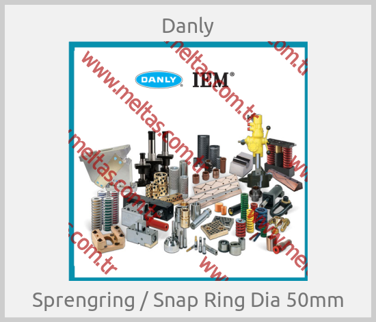 Danly - Sprengring / Snap Ring Dia 50mm