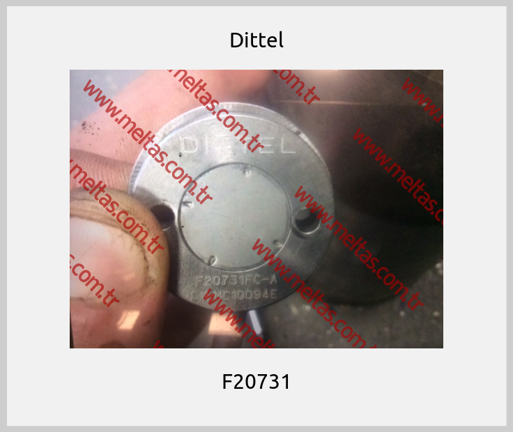 Dittel - F20731
