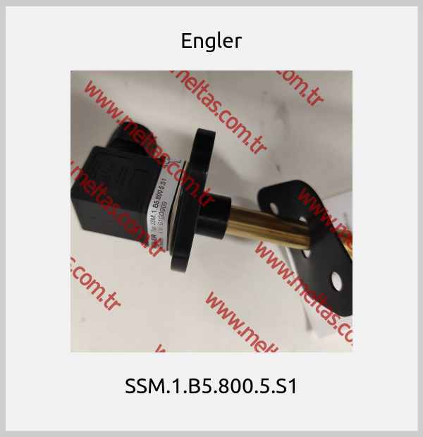 Engler - SSM.1.B5.800.5.S1