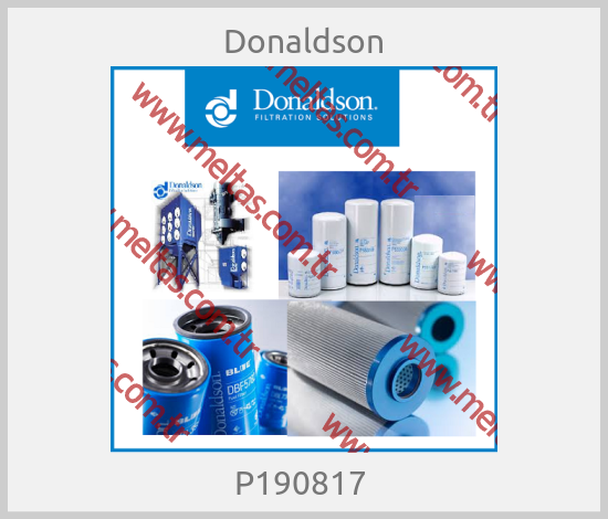 Donaldson-P190817 