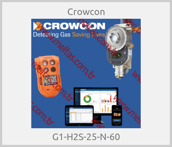 Crowcon - G1-H2S-25-N-60