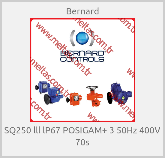 Bernard - SQ250 lll lP67 POSIGAM+ 3 50Hz 400V 70s
