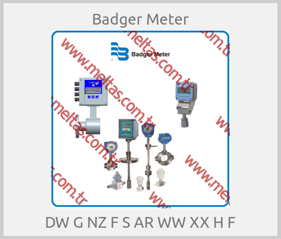 Badger Meter - DW G NZ F S AR WW XX H F