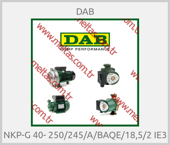 DAB - NKP-G 40- 250/245/A/BAQE/18,5/2 IE3