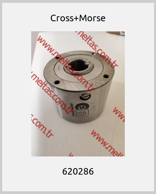 Cross+Morse - 620286
