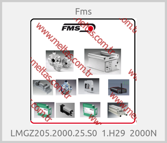 Fms-LMGZ205.2000.25.S0  1.H29  2000N
