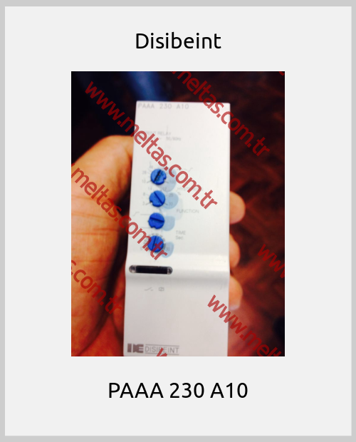 Disibeint - PAAA 230 A10