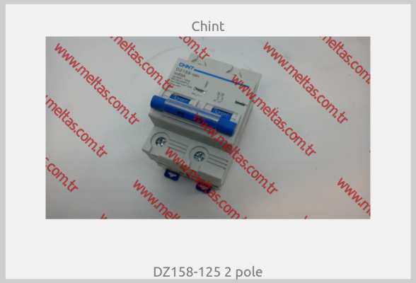 Chint - DZ158-125 2 pole