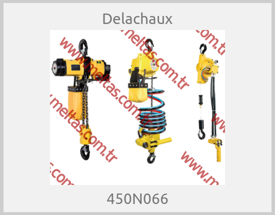 Delachaux - 450N066