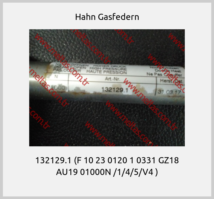 Hahn Gasfedern - 132129.1 (F 10 23 0120 1 0331 GZ18 AU19 01000N /1/4/5/V4 )
