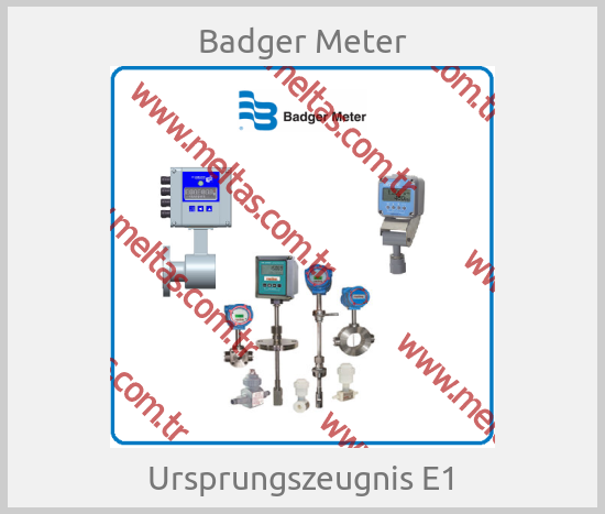Badger Meter - Ursprungszeugnis E1
