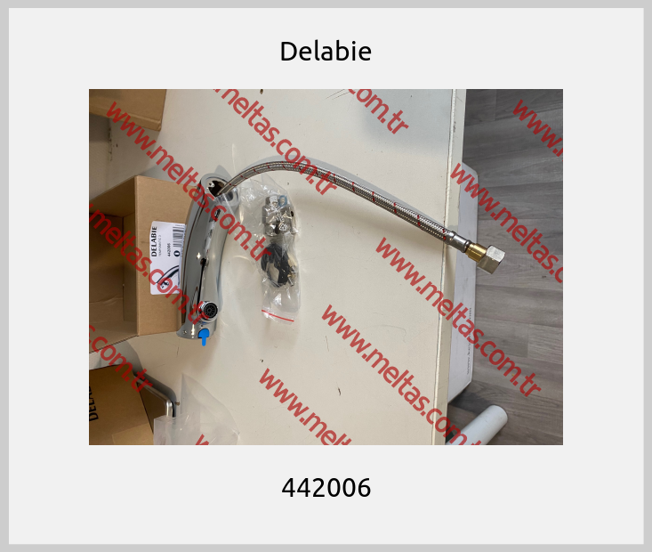 Delabie - 442006