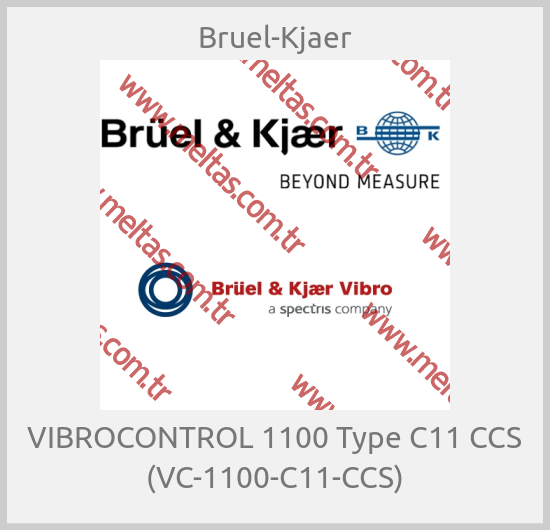 Bruel-Kjaer - VIBROCONTROL 1100 Type C11 CCS (VC-1100-C11-CCS)