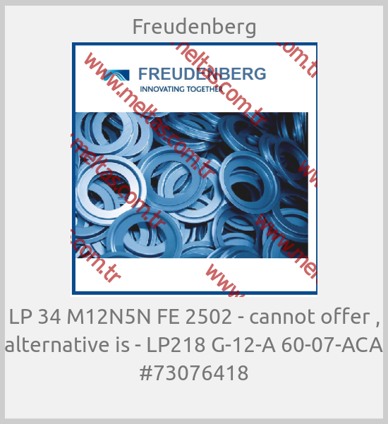 Freudenberg - LP 34 M12N5N FE 2502 - cannot offer , alternative is - LP218 G-12-A 60-07-ACA #73076418
