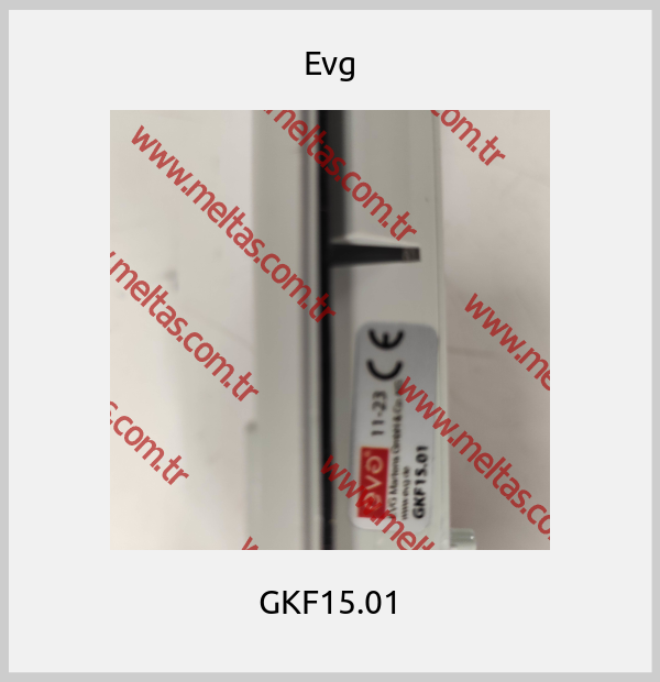 Evg - GKF15.01