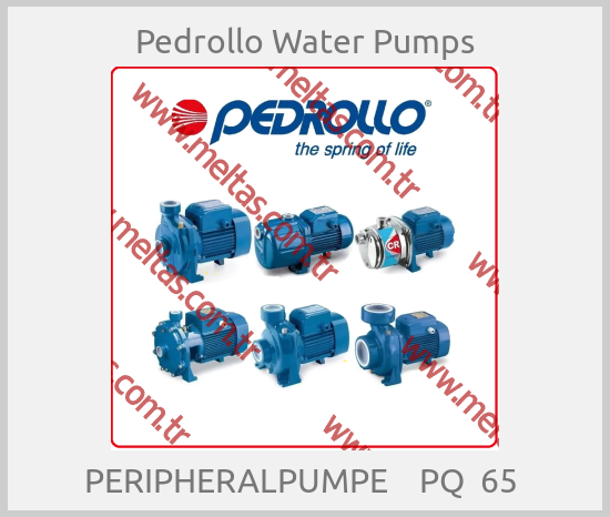 Pedrollo Water Pumps - PERIPHERALPUMPE    PQ  65 