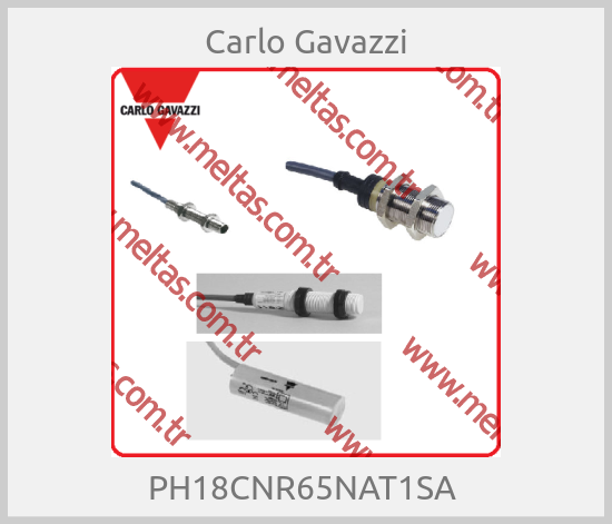 Carlo Gavazzi-PH18CNR65NAT1SA 