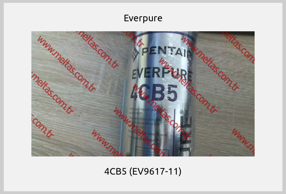 Everpure - 4CB5 (EV9617-11)
