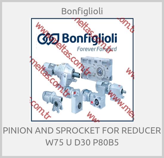 Bonfiglioli-PINION AND SPROCKET FOR REDUCER W75 U D30 P80B5