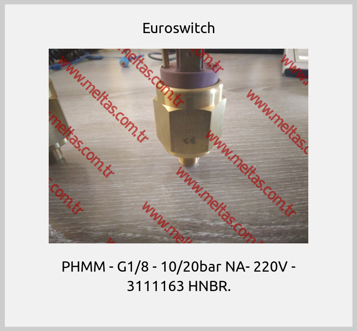Euroswitch - РНММ - G1/8 - 10/20bar NA- 220V - 3111163 HNBR.