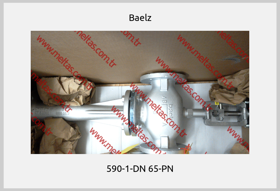Baelz - 590-1-DN 65-PN