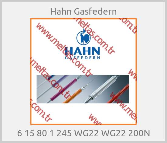 Hahn Gasfedern - 6 15 80 1 245 WG22 WG22 200N