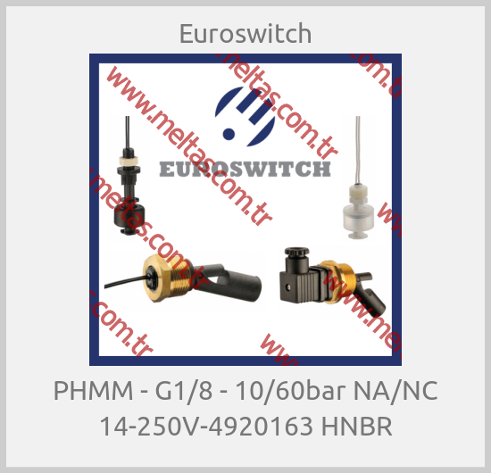 Euroswitch - РНММ - G1/8 - 10/60bar NA/NC 14-250V-4920163 HNBR