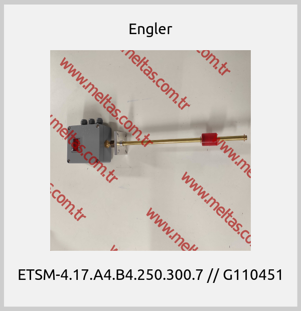 Engler - ETSM-4.17.A4.B4.250.300.7 // G110451