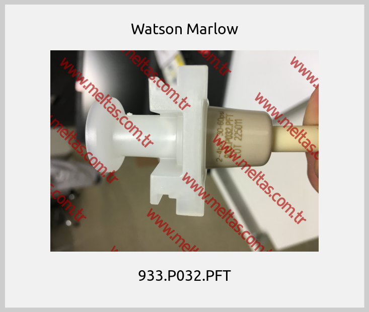 Watson Marlow - 933.P032.PFT